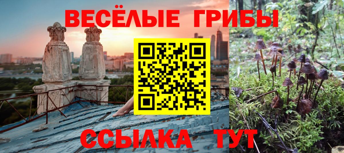 Псилоцибиновые грибы ЛСД  Вход с VPN  купить   Новочеркасск 